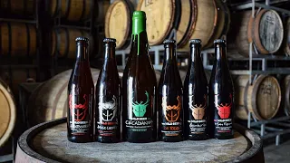 Live show XX: drink-along with Wild Beer Co