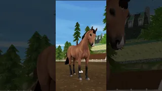 Smash or Pass || Star Stable Online