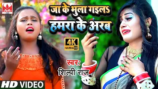 #Shilpi Raj का बेवफाई दर्द भरा गाना | जा के भुला गइल हमरा के अरब | Shilpi Raj Bhojpuri Song