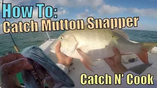 How to Catch MONSTER Mutton Snapper Fishing Key Largo | Catch N Cook