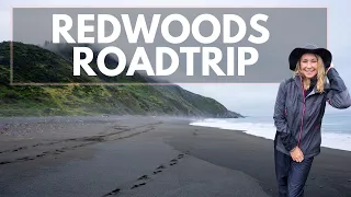 Roadtrip to Redwood National Park : Best of California