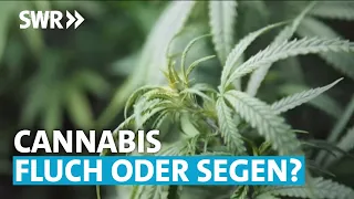 Cannabis Legalisierung: Pro & Contra | SWR Aktuell