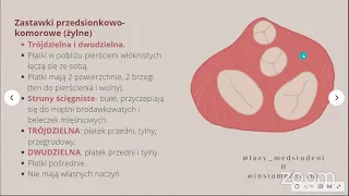 WIELKA ANATOMICZNA POWTÓRKA - serce, płuca, nerwy