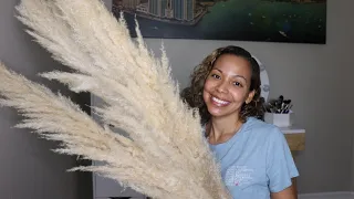 Pampas Grass | is it worth it???