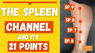 The Spleen Channel Meridian & its 21 Spleen Acupuncture Points (Functions & Locations)