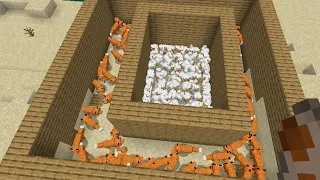 1000 chicken's vs 100 fox's