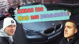 ИЩЕМ ЖИВУЮ Е60.КАК ПРОСРАТЬ 500к ЗА ОДИН ДЕНЬ.ПЕРЕКУП.