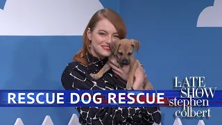 The Late Show 'Rescue Dog Rescue' With Emma Stone