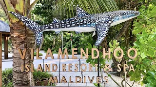 Maldives Vilamendhoo February 2022 | Island | Buffet | Snorkeling