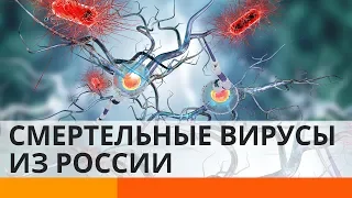 Миру угрожают смертельные вирусы из России?