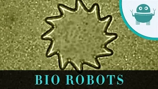 Bio Robots! Spider Printing, Octopus Propulsion, Bacterial Motors