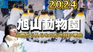 【北海道観光】たった４分でわかる、冬の旭山動物園の巡り方入門【図解】#旭川