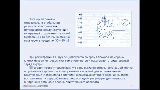 8.00-09.30 Биофизика лекция 4