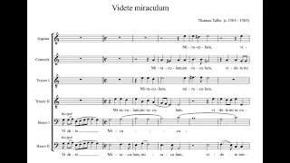 Thomas Tallis - Videte miraculum