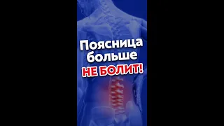 1 упражнение и боли в пояснице больше не будет! #shorts