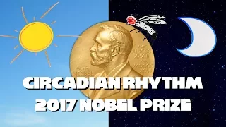 2017 Nobel Prize for Circadian Rhythm Explained