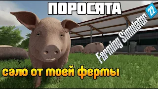 🐽 Закупка и разведение СВИНЕЙ Сало от фермера Farming Simulator 22