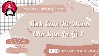 Tình Cảm Họ Dành Cho Bạn Là Gì ? *Chọn Tụ Bài*