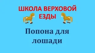 Попона для лошади