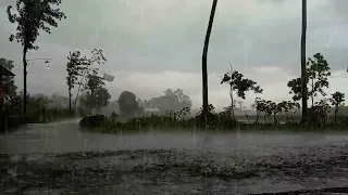 Feel the Comfort of Sleeping While Listening to the Soothing Sound of Heavy Rain