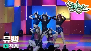 ITZY 달라달라 / 190215 뮤직뱅크 직캠 풀캠ver