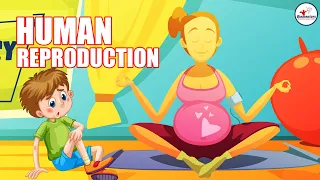 Human Reproduction l Lecture 4 l Biology l NEET