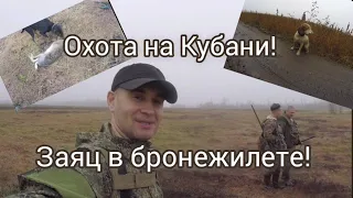 Охота на Кубани! Заяц в бронежилете!