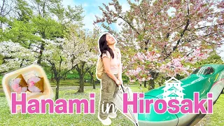 One of the best cherry blossom viewing spots in Japan! 🌸Hirosaki Park in Aomori | Tohoku Trip Part 1