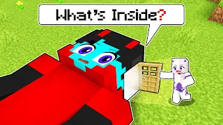 What's Inside PEPESAN'S Head In Minecraft!