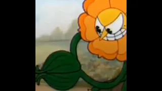 Cuphead //Phantom and floral fury Edit//