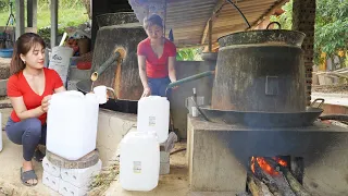 How to distill wine from wild coconut tree trunks - Wine of the Dao people - My Bushcraft