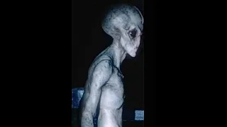 Rare Alien Creature Caught On Camera!!