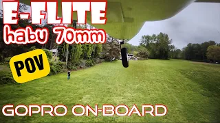 E Flite HABU 70MM onboard camera