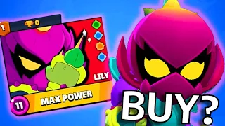 Should You Buy Lily? Why She's Not That Good...