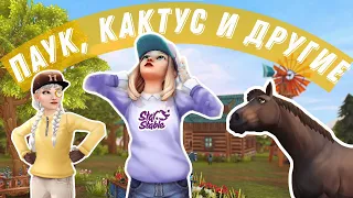 RRP | SSO | ПОКУПКА КАКТУСА | ПАУК, КАКТУС И ДРУГИЕ| ВЛОГ