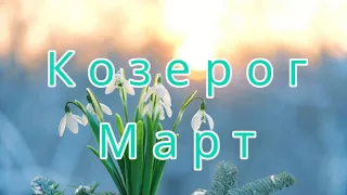 КОЗЕРОГ в марте СОЦИАЛЬНАЯ АТМОСФЕРА