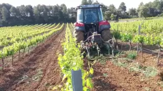 Intercepas sobre cultivador en viña