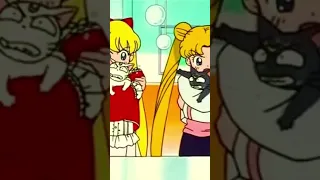 Minako and Usagi choke Artemis and Luna-#shorts #sailormoon