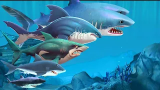 THE EVOLUTION OF GREAT WHITE SHARK - ALL Hungry Shark Series