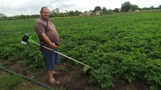 Покинута  картопля. Що з Яріка Картоплею. Херсонщина.. ПРОДОВЖЕННЯ