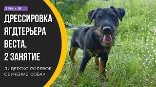 Дрессировка ягдтерьера Веста. 18 день. 2 занятие