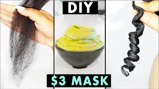 $3 DIY MIRACLE MASK FOR DRY, DAMAGED HAIR!