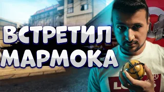 ВСТРЕТИЛ МАРМОКА В КС ГО!