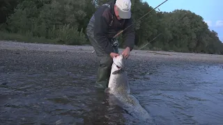 Warum Fische abreißen