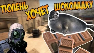 ТЮЛЕНЬ ХОЧЕТ ШОКОЛАДКУ | CS:GO МОНТАЖ