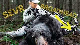 SEVR BROADHEAD - Chinese Lady Shoots 1st Black Bear with Crossbow! Spring Bear Manitoba (2021)