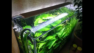 Herbalist 100 liters. Current status. A little bit about the ground