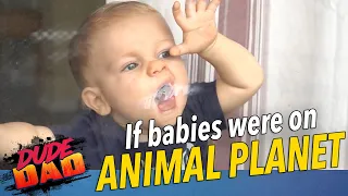 If babies were on Animal Planet