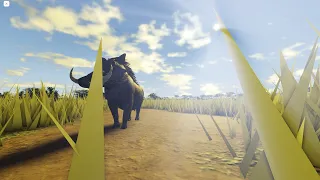 warthog gameplay [ Wild Savanna ]