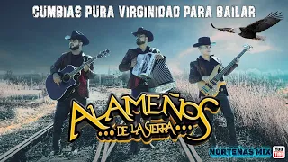 LOS ALAMEÑOS DE LA SIERRA 💃🎸 CUMBIAS PURA VIRGINIDAD PARA BAILAR